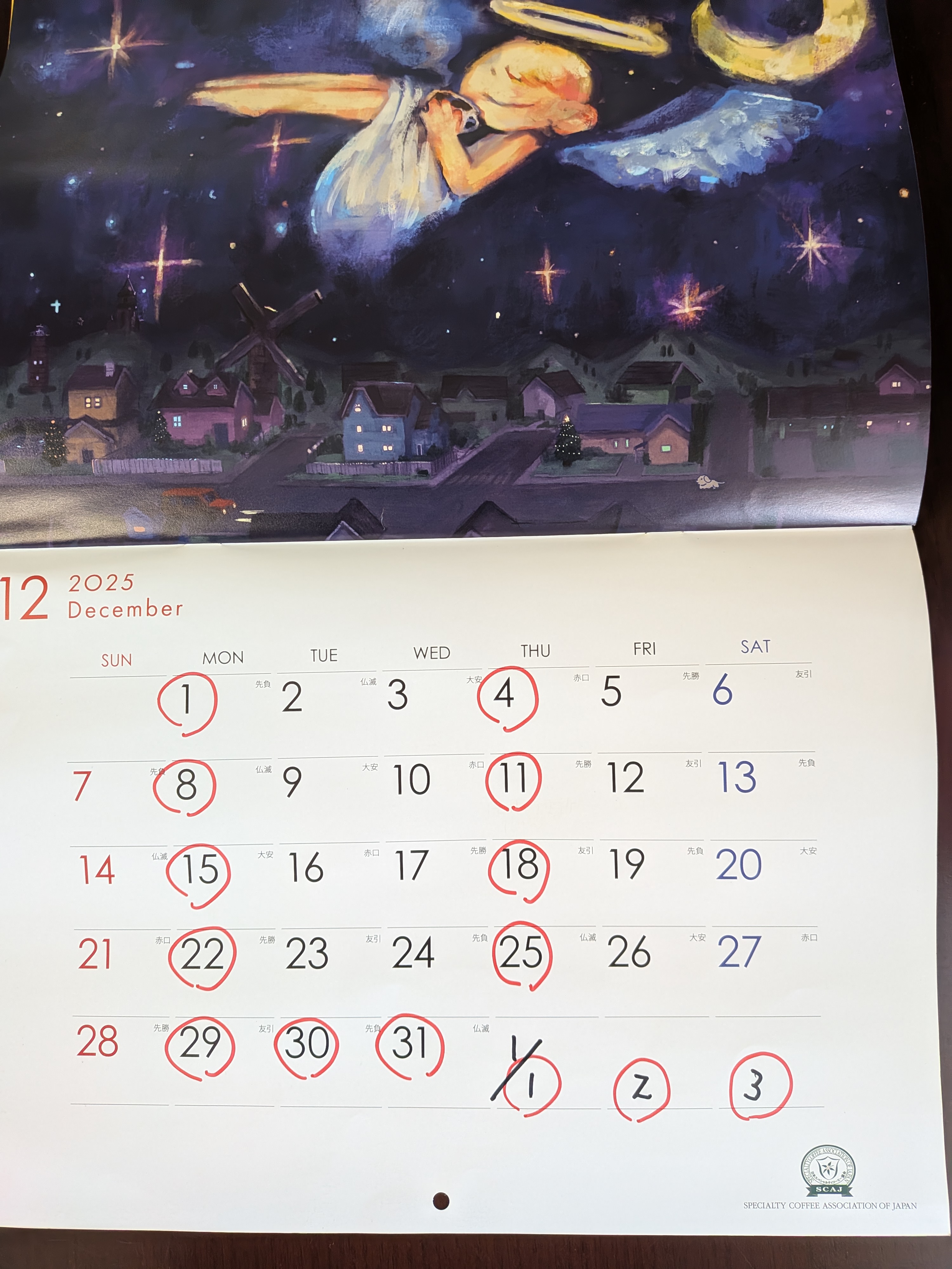 PXL_20251123_050409114