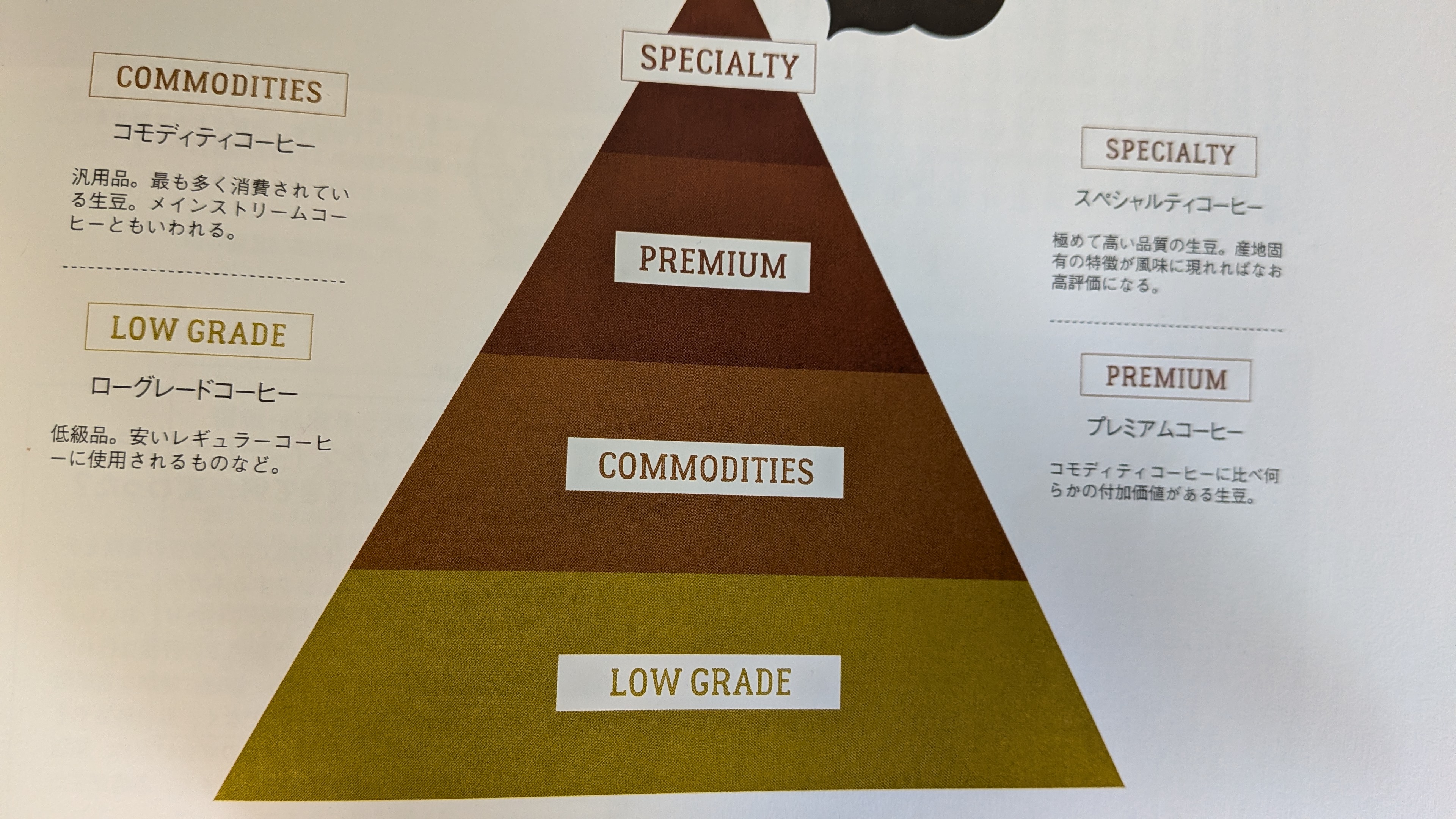 PXL_20260306_041700600.MP