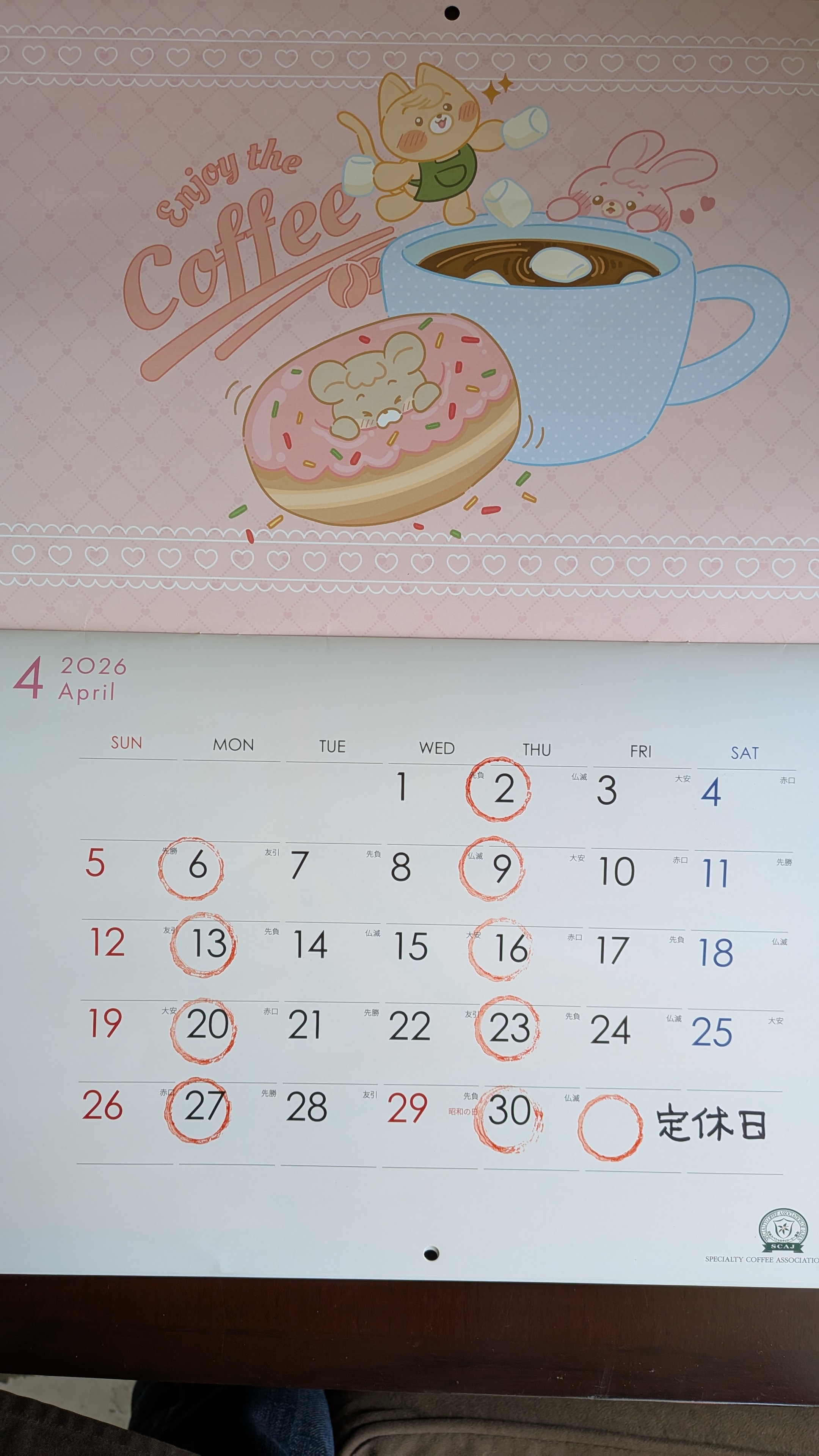 PXL_20260322_044738843.MP