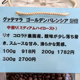 グァテマラ ゴールデンパレンシア SHB