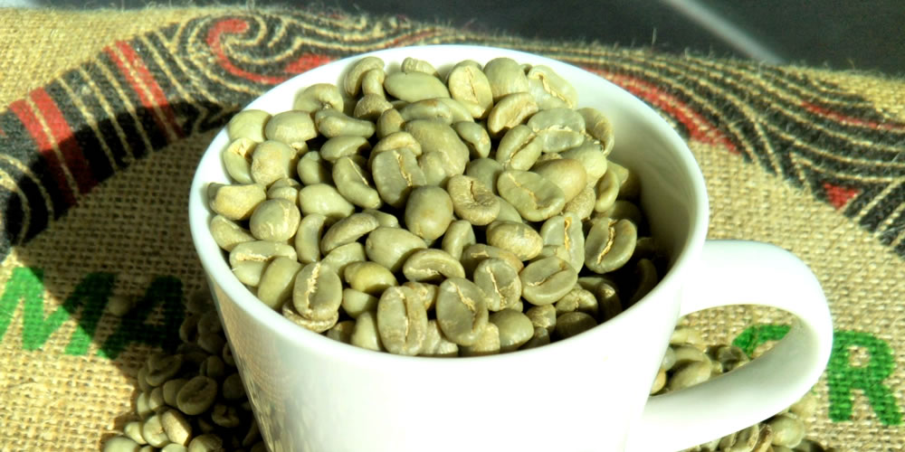 自家焙煎珈琲 蔵王の森焙煎工房 山形 コーヒー豆 珈琲豆